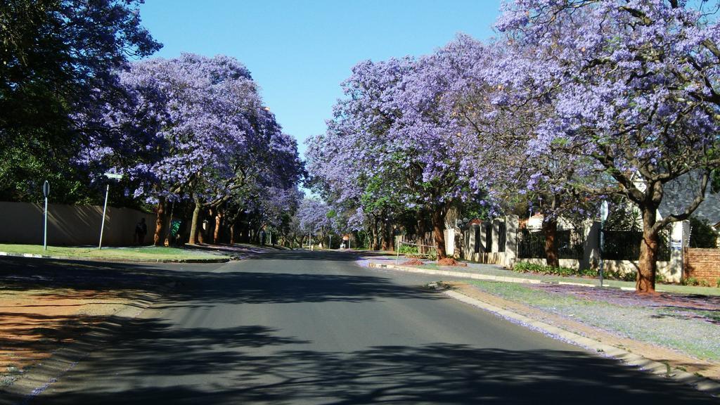 Northcliff Bed And Breakfast Randburg Exterior photo